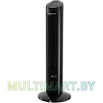 Вентилятор Brayer BR4958BK